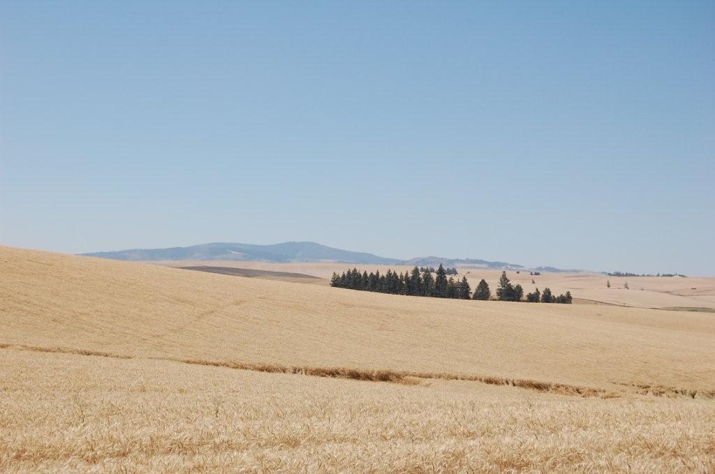 Central Idaho Farm and Cropland