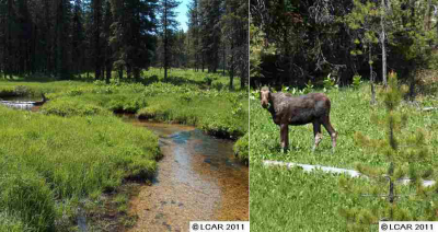 Idaho Backcountry Recreational Property