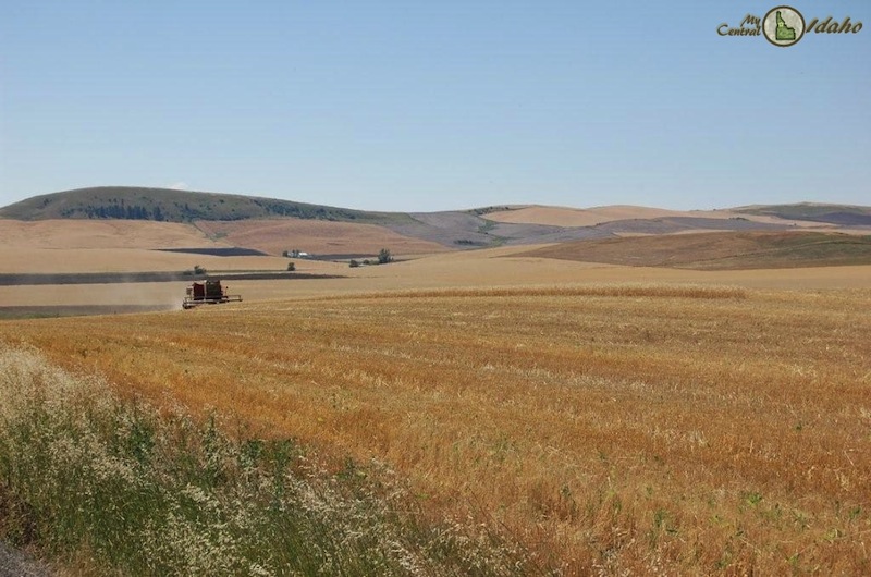 Demand for Farmland exceeds supply