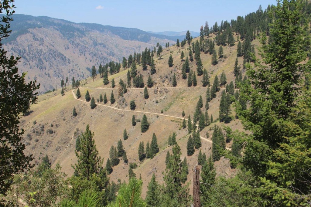 Switchbacks on the mountain to Burgdorf