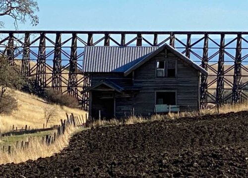 Old Bruegemann House Cottonwood - Ferdinand Idaho