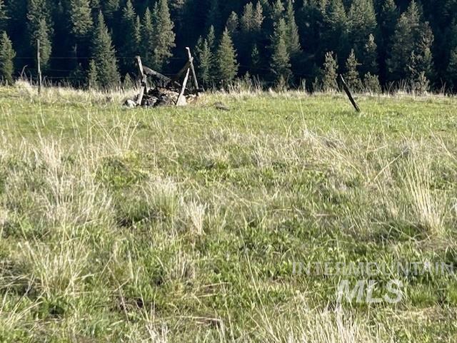 Pasture is partially fenced