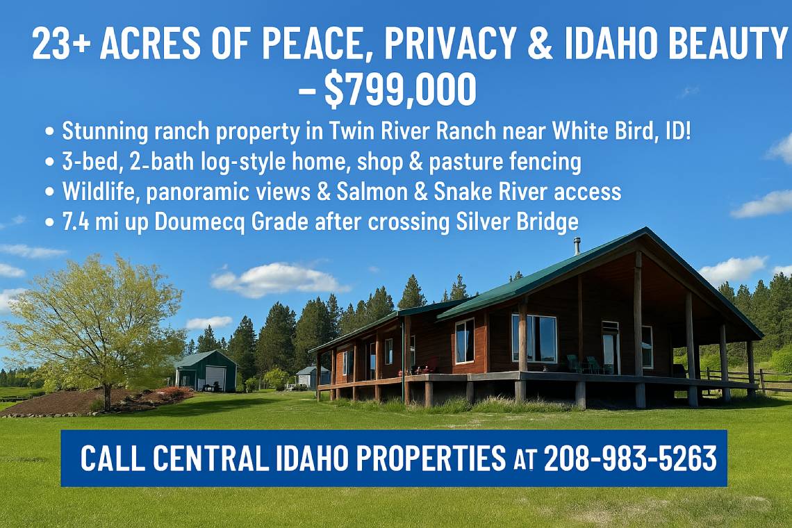 Home and 23 acres at top of Doumecq, White Bird Idaho
